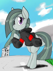 Size: 720x960 | Tagged: safe, artist:a.s.e, derpibooru import, marble pie, clothes, female, impressed, mare, solo