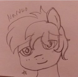 Size: 720x710 | Tagged: safe, derpibooru import, sandbar, earth pony, pencil drawing, relaxed, sketch, smiling, solo, stars, traditional art