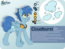 Size: 2100x1600 | Tagged: safe, artist:fluffyxai, derpibooru import, oc, oc only, oc:cloudburst, pegasus, accessories, goggles, male, reference sheet, smiling, stallion, standing