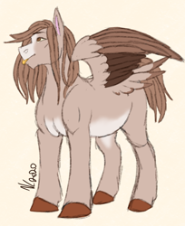 Size: 816x1000 | Tagged: safe, artist:corisodapop, derpibooru import, oc, pegasus, pony, simple background, solo, tail feathers, two toned wings, wings