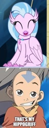 Size: 500x1297 | Tagged: safe, derpibooru import, edit, edited screencap, screencap, silverstream, classical hippogriff, hippogriff, school daze, aang, adorkable, aerokinetic, airbender, archer, astral projectors, avatar silverstream, avatar the last airbender, bravery, compassion, courage, cryokinetic, dancers, dork, earthbender, electrokinetic, firebender, flutists, geokinetic, hop, hydrokinetic, kindness, knife-fighters, lavabender, lightningbender, magmakinetic, martial artist, martial artists, meme, optimism, pssamokinetic, pyrokinetic, sandbender, shapeshifter, singers, smiling, spiritual empath, staff-fighter, staff-fighters, swordfighters, that's my x, waterbender