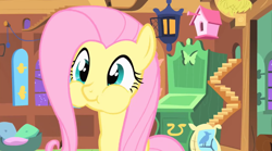 Size: 846x470 | Tagged: safe, derpibooru import, screencap, fluttershy, pegasus, pony, stare master, female, solo