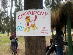 Size: 600x450 | Tagged: safe, artist:ionipony, artist:wrath-marionphauna, derpibooru import, oc, oc only, oc:choripony, bread, chile, chilean, choripan, convention, food, meta, picture, traditional art