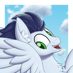 Size: 1500x1500 | Tagged: safe, artist:litrojia, derpibooru import, soarin', pegasus, pony, bust, chest fluff, cloud, ear fluff, flying, looking at you, male, open mouth, portrait, smiling, solo, spread wings, stallion, wings
