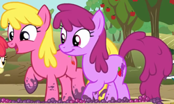 Size: 2564x1543 | Tagged: safe, derpibooru import, screencap, berry punch, berryshine, cherry berry, earth pony, pony, on your marks, background pony, berrybetes, cherrybetes, cropped, cute, duo, female, food, grape stomping, grapes, mare, stomping