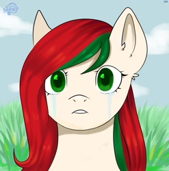 Size: 1580x1600 | Tagged: safe, artist:ske, derpibooru import, oc, pony, belarus, crying, ponified, solo