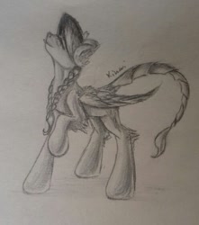 Size: 496x561 | Tagged: safe, artist:kiwwsplash, derpibooru import, oc, oc only, pegasus, pony, braid, pegasus oc, raised hoof, scorpion tail, signature, smiling, solo, traditional art, wings