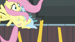 Size: 1920x1080 | Tagged: safe, derpibooru import, screencap, fluttershy, pegasus, pony, sheep, growing up is hard to do, ewe