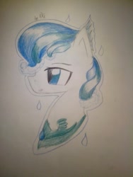 Size: 640x853 | Tagged: safe, artist:kiwwsplash, derpibooru import, oc, oc only, earth pony, pony, bust, earth pony oc, solo, traditional art