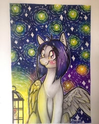 Size: 768x960 | Tagged: safe, artist:madkadd, derpibooru import, oc, oc only, firefly (insect), insect, pegasus, pony, candle, lantern, night, outdoors, pegasus oc, sitting, smiling, solo, stars, traditional art, wings