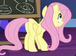 Size: 433x318 | Tagged: safe, derpibooru import, screencap, fluttershy, pegasus, pony, growing up is hard to do, butt, chalkboard, cropped, female, flutterbutt, plot, solo