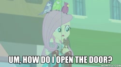 Size: 600x337 | Tagged: safe, derpibooru import, edit, edited screencap, screencap, fluttershy, bird, rabbit, squirrel, better together, equestria girls, tip toppings, animal, caption, image macro, text