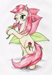 Size: 1984x2845 | Tagged: safe, artist:40kponyguy, derpibooru exclusive, derpibooru import, roseluck, earth pony, pony, bipedal, cute, cuteluck, cutie mark, cutie mark background, ear fluff, female, flower, hoof hold, looking at you, mare, one eye closed, rose, simple background, solo, traditional art, wink