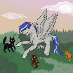 Size: 1000x1000 | Tagged: safe, artist:lebalisa, derpibooru import, oc, oc:aspen volare, cat, pegasus, pony