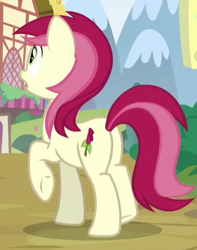 Size: 327x414 | Tagged: safe, derpibooru import, screencap, roseluck, butt, cropped, female, plot, solo