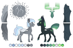 Size: 4500x3000 | Tagged: safe, artist:jackiebloom, derpibooru import, oc, oc only, oc:lightning strike, oc:northern skies, bat pony, pegasus, pony, bat pony oc, bat wings, high res, male, simple background, stallion, transparent background, wings