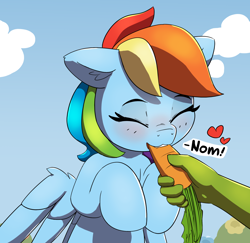 Size: 1880x1830 | Tagged: safe, artist:pabbley, derpibooru import, part of a set, rainbow dash, oc, oc:anon, human, pegasus, pony, blushing, carrot, cute, dashabetes, disembodied hand, eating, eyes closed, feeding, female, food, hand, herbivore, hooves to the chest, horses doing horse things, mare, offscreen character, offscreen human