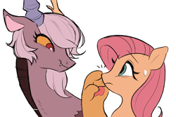 Size: 1280x853 | Tagged: safe, artist:dilandau203, derpibooru import, discord, eris, fluttershy, draconequus, pegasus, pony, adoreris, boop, cute, discoshy, erishy, eye contact, female, half r63 shipping, lesbian, looking at each other, mare, rule 63, rule63betes, shipping, shyabetes, simple background, white background