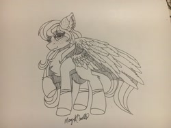 Size: 2048x1536 | Tagged: safe, artist:pearl123_art, derpibooru import, oc, oc only, pegasus, pony, chest fluff, ear fluff, lineart, pegasus oc, raised hoof, signature, solo, traditional art, wings