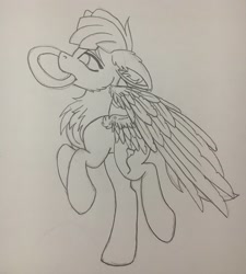 Size: 1842x2048 | Tagged: safe, artist:pearl123_art, derpibooru import, oc, oc only, pegasus, pony, chest fluff, ear fluff, frisbee, lineart, mouth hold, pegasus oc, rearing, solo, traditional art, wings