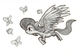 Size: 1637x1189 | Tagged: safe, artist:zxcvsaw, derpibooru import, fluttershy, butterfly, pegasus, pony, monochrome