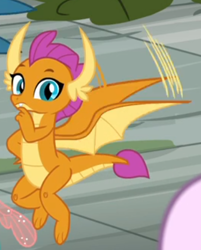 Size: 346x431 | Tagged: safe, derpibooru import, screencap, ocellus, silverstream, smolder, dragon, school daze, cropped, dragoness, female, flying, looking at you, offscreen character, solo, solo focus, wings