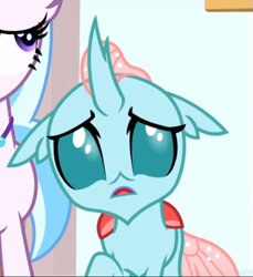 Size: 511x557 | Tagged: safe, derpibooru import, screencap, ocellus, silverstream, a matter of principals, confused, cropped, open mouth, solo