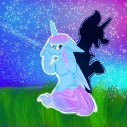 Size: 1080x1080 | Tagged: safe, artist:bellas.den, derpibooru import, oc, oc only, alicorn, pony, alicorn oc, duo, female, grass, horn, laughing, mare, night, outdoors, shadow pony, stars, wings