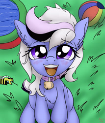 Size: 3600x4200 | Tagged: safe, artist:littlenaughtypony, derpibooru import, oc, oc:whiskey lullaby, ball, bell, bell collar, collar, lawn, looking at you, looking up, minecraft bee, open mouth, swimming pool