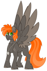 Size: 2592x3852 | Tagged: safe, artist:crazysketch101, derpibooru import, oc, oc only, oc:ashton burnside, pegasus, simple background, solo, transparent background