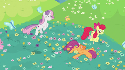 Size: 1920x1080 | Tagged: safe, derpibooru import, screencap, apple bloom, scootaloo, sweetie belle, butterfly, growing up is hard to do, cutie mark crusaders, older