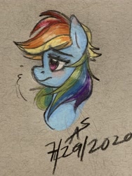 Size: 3024x4032 | Tagged: safe, artist:dufflebags, derpibooru import, rainbow dash, pegasus, pony, bust, traditional art