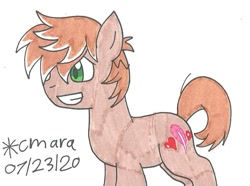 Size: 876x651 | Tagged: safe, artist:cmara, derpibooru import, feather bangs, earth pony, pony, grin, male, simple background, smiling, solo, stallion, traditional art, white background