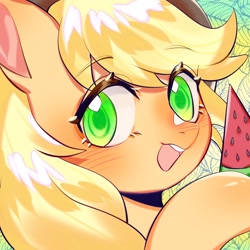 Size: 1754x1754 | Tagged: safe, artist:royal, derpibooru import, part of a set, applejack, earth pony, pony, blushing, bust, colored pupils, cute, female, food, jackabetes, looking at you, mare, open mouth, portrait, solo, summer, watermelon