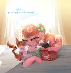 Size: 1720x1786 | Tagged: safe, artist:confetticakez, derpibooru import, oc, oc only, oc:cinnamon spangled, cat, earth pony, pony, alternate hairstyle, backlit, bed, bedroom, blushing, bow, breakfast in bed, clothes, coffee, curtains, female, furrowed brow, mare, messy mane, pajamas, shirt, shorts, solo, squint, t-shirt, underhoof, window