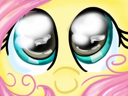 Size: 1024x768 | Tagged: safe, artist:lianzapa, derpibooru import, fluttershy, pegasus, pony, big eyes, face only, female, looking at you, mare, smiling, smiling at you, solo