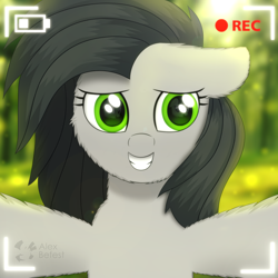 Size: 3000x3000 | Tagged: safe, artist:alexbefest, derpibooru import, oc, oc only, pegasus, brony, camera, forest, gray, green, ibrony, mlb, mylittlebrony, selfie, solo, yellow