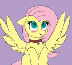 Size: 2048x1832 | Tagged: safe, artist:nevermore228, derpibooru import, fluttershy, pegasus, pony, blushing, collar, flutterpet, pet tag, pony pet, solo