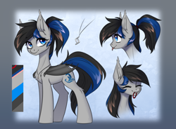 Size: 3000x2204 | Tagged: safe, artist:vincher, derpibooru import, oc, oc only, bat pony, pony, reference sheet, solo