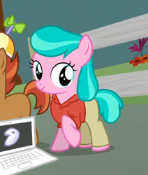 Size: 323x381 | Tagged: safe, edit, edited screencap, screencap, aquamarine, button mash, liquid button, earth pony, pony, crusaders of the lost mark, aquamarine wears everything, colt, computer, cropped, duo, female, filly, gentoo, male, meme, richard stallman