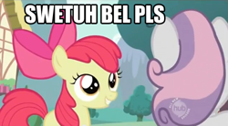 Size: 500x277 | Tagged: safe, derpibooru import, apple bloom, sweetie belle, dolan, image macro