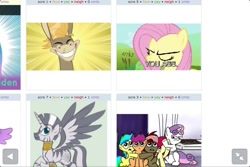 Size: 960x640 | Tagged: safe, derpibooru import, cranky doodle donkey, fluttershy, zecora, alicorn, donkey, earth pony, pegasus, pony, unicorn, zebra, zebracorn, derpibooru, exploitable meme, juxtaposition, juxtaposition win