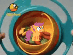 Size: 512x384 | Tagged: safe, derpibooru import, scootaloo, sweetie belle, animated, gyro bowl