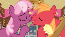 Size: 1152x648 | Tagged: safe, derpibooru import, screencap, big macintosh, cheerilee, earth pony, pony, hearts and hooves day (episode), cheerimac, hearts and hooves day, lip bite, male, scrunchy face, shipping, stallion, straight