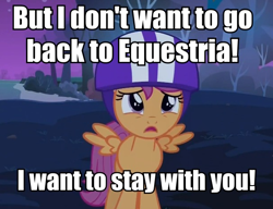 Size: 606x466 | Tagged: safe, derpibooru import, scootaloo, bronybait, fourth wall, image macro, sad