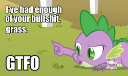 Size: 586x349 | Tagged: safe, derpibooru import, spike, dragon, spike at your service, grass, gtfo, hub logo, image macro, vulgar