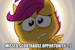 Size: 960x640 | Tagged: safe, derpibooru import, scootaloo, .mov, background pony strikes again, gap teeth, image macro, op is a cuck, pony.mov, scootabuse, swag.mov, text