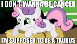 Size: 1040x605 | Tagged: safe, derpibooru import, edit, edited screencap, screencap, sweetie belle, pony, unicorn, caption, female, filly, frown, hay bale, horoscope, image macro, meme, prone, sad, solo, taurus, text, zodiac sign