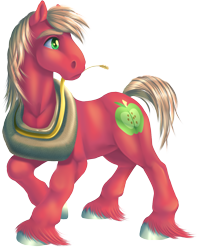 Size: 984x1248 | Tagged: safe, artist:kittehkatbar, derpibooru import, big macintosh, earth pony, pony, male, simple background, stallion, transparent background