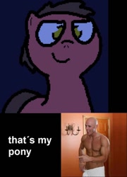 Size: 690x960 | Tagged: safe, derpibooru import, oc, oc:big brian, human, pony, banned from equestria daily, brazzers, irl, irl human, johnny sins, meme, photo, that's my pony, that's my x